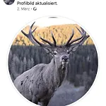 Koelbel Familienurlaub In Der Appartamento Schmallenberg