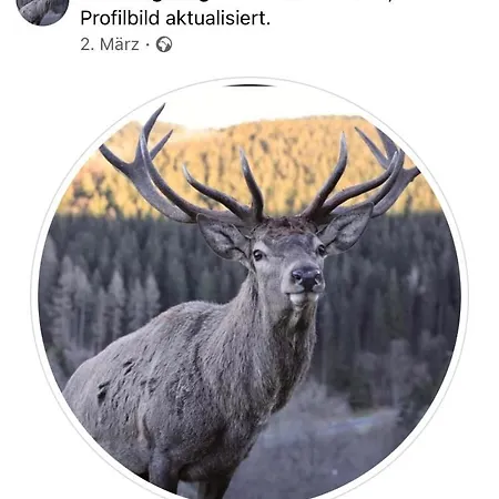 Koelbel Familienurlaub In Der アパート シュマレンベルク